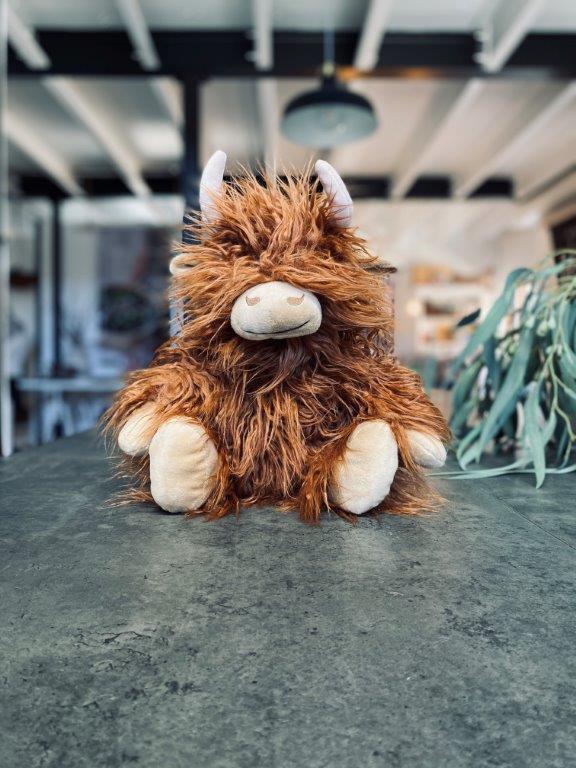 pago-nana-huchy-henry_the_highland_cow pago-nana-huchy-henry_the_highland_cow