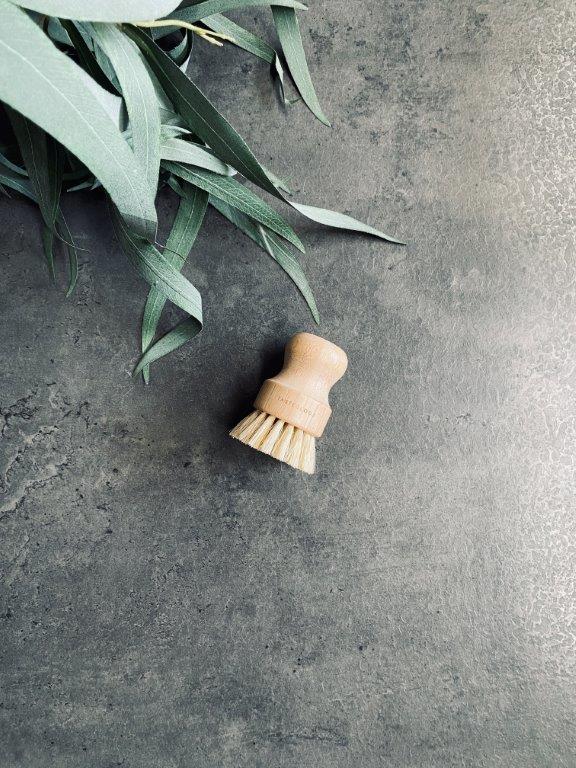 pago-tasteology-pot_brush